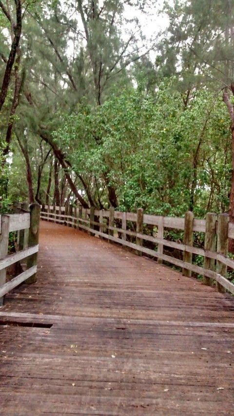 Paseo Tablado