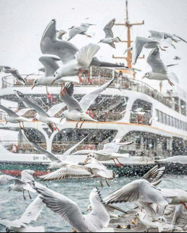 istanbul da kış