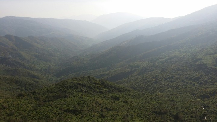 Sea of trees/mountains