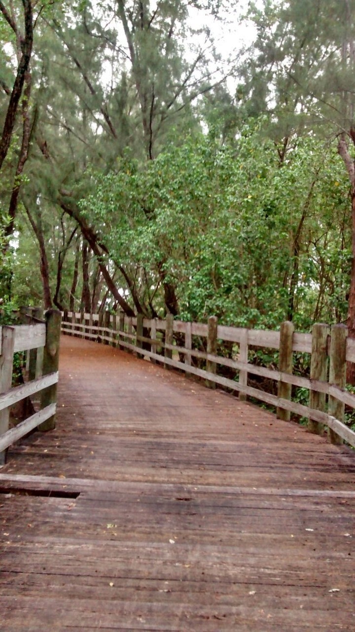 Paseo Tablado