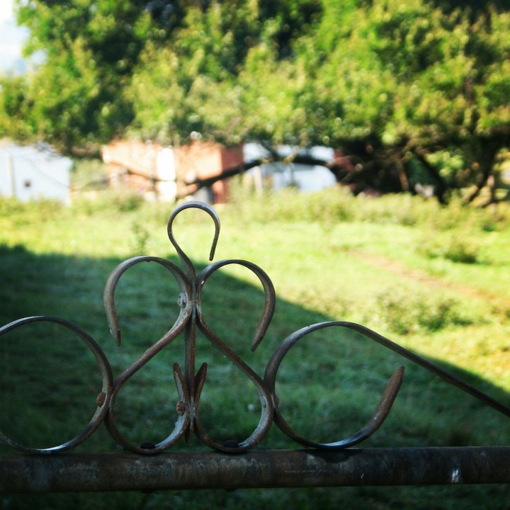 fence