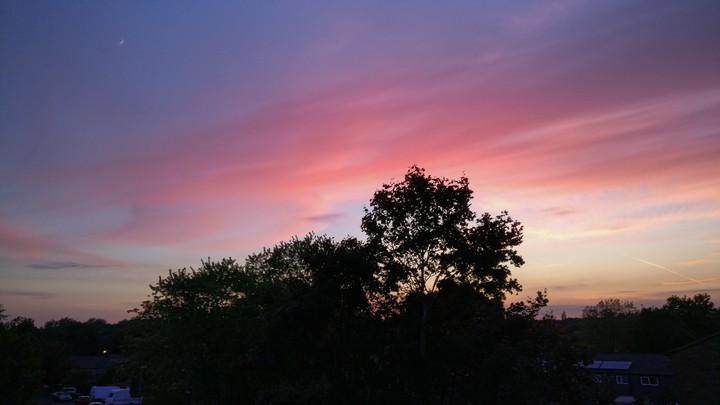 sunset