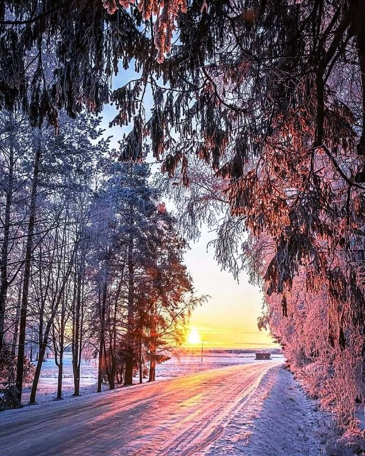 снежная сказка