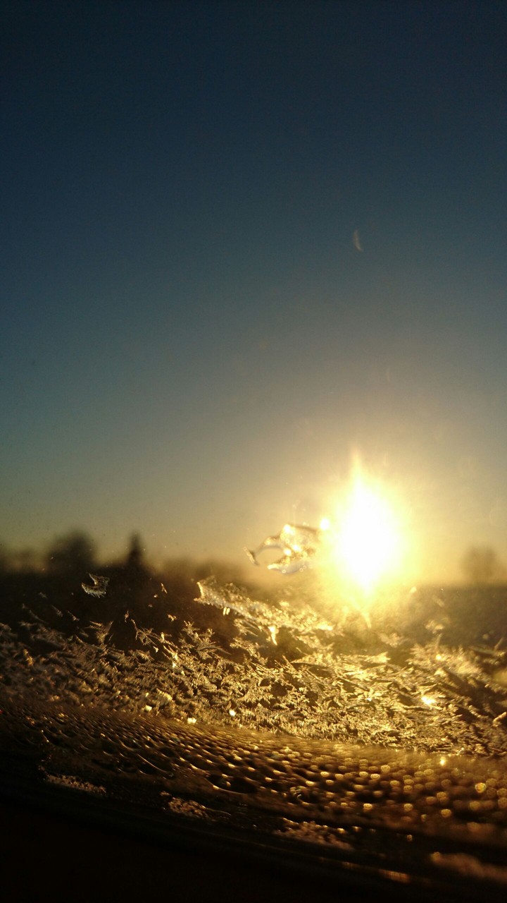 Sunshine
