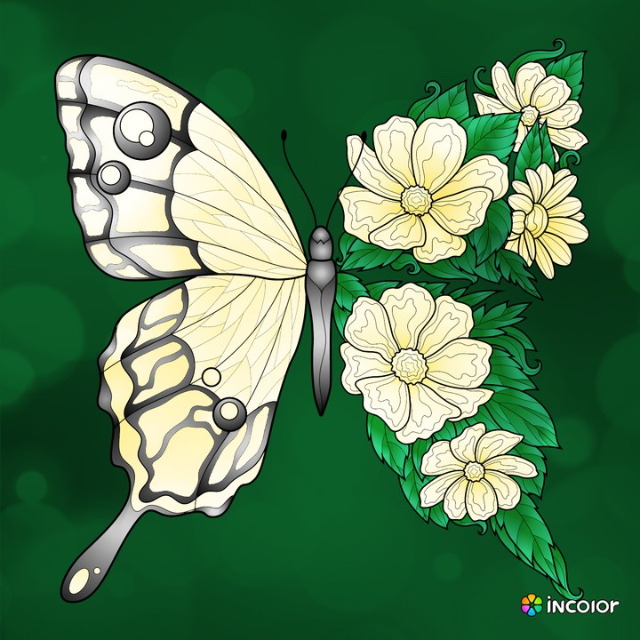 Swallow Tail