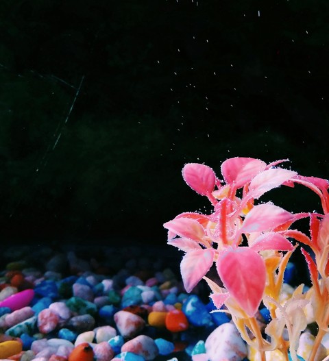 under water
