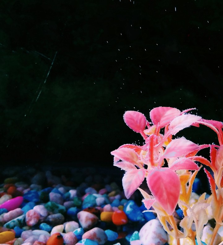 under water