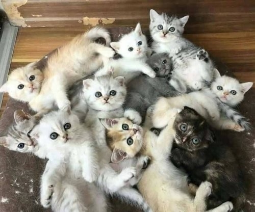 cuteeee