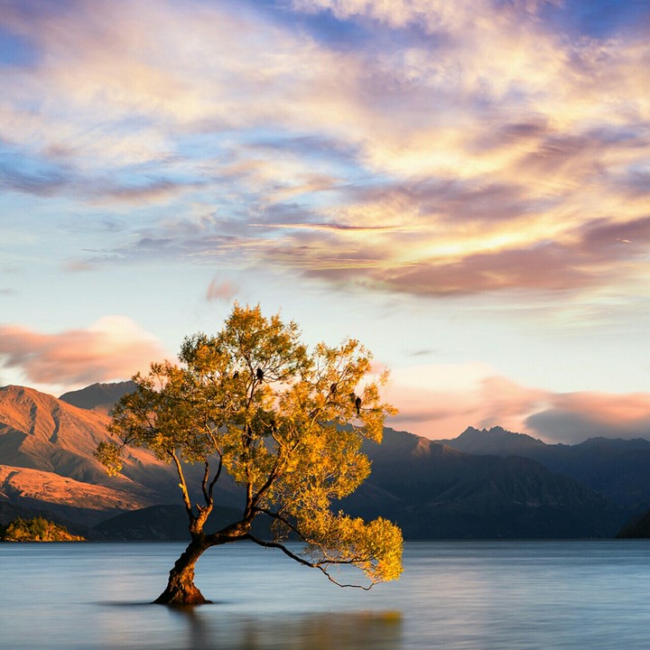 nature