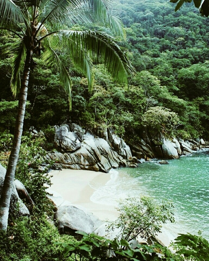a ilha