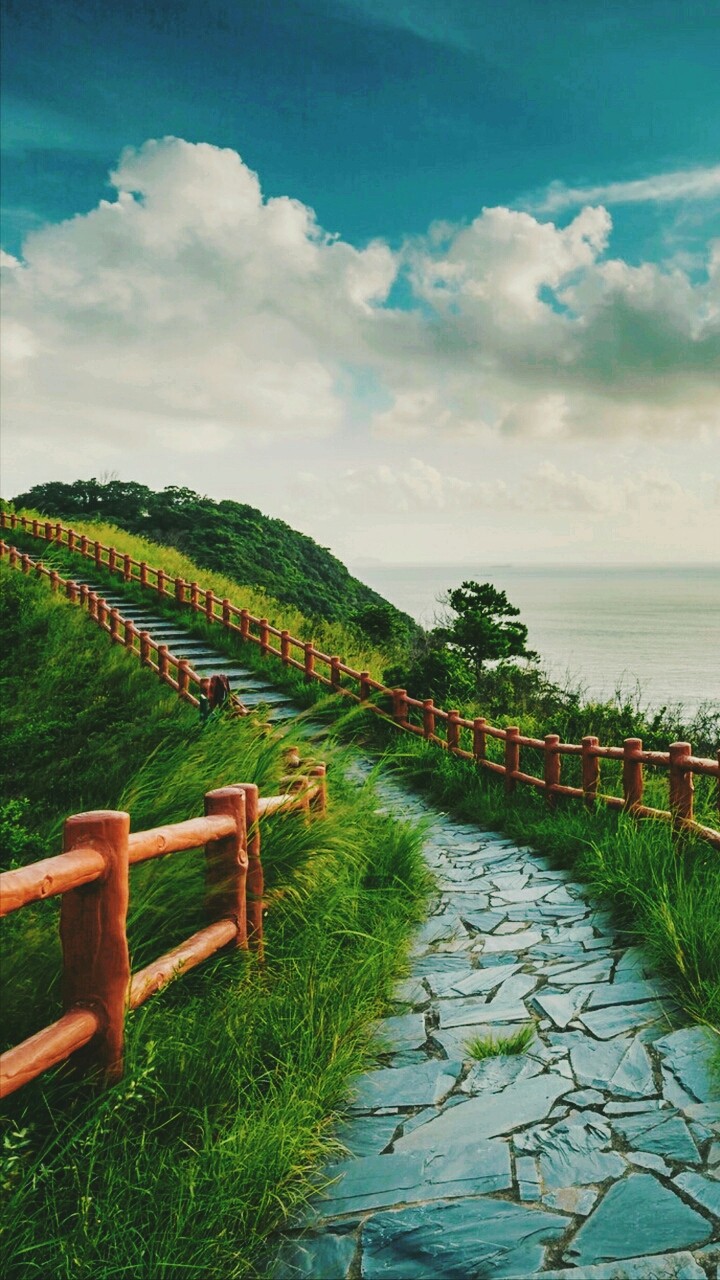 Nature