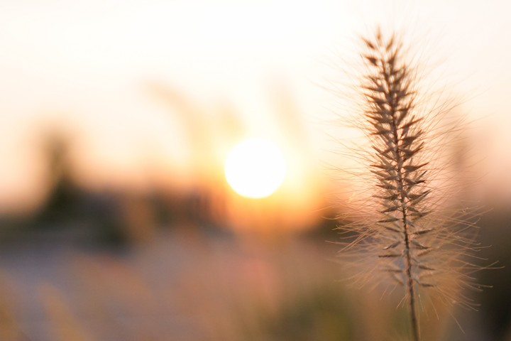 golden hour