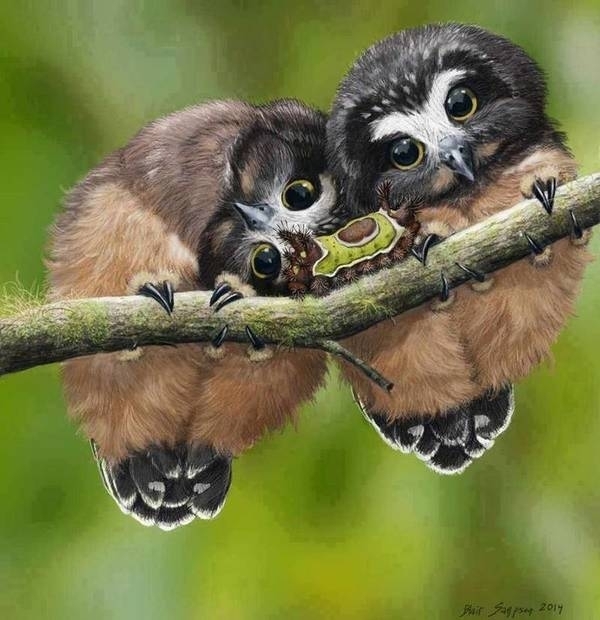 cute