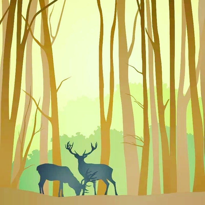 forest painting
