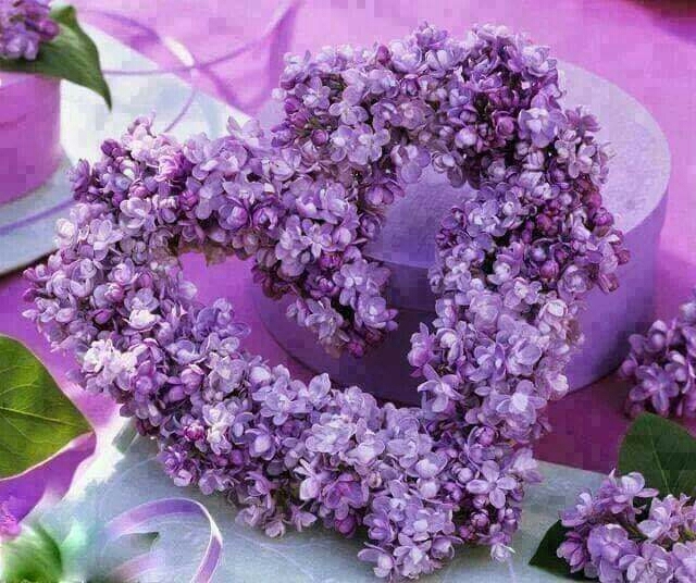 ♥