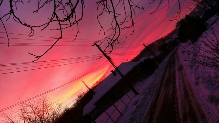 Winter morning