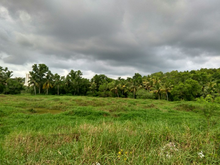 Kerala Green beauty under clouds