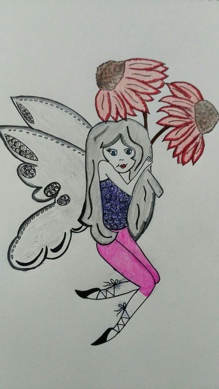 fairy