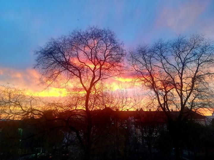 Sky