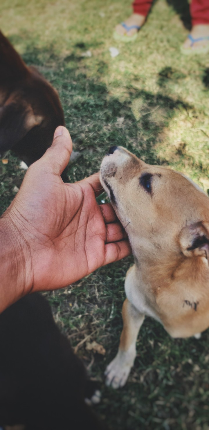 Selfless love