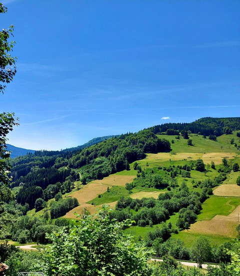 Fernweh