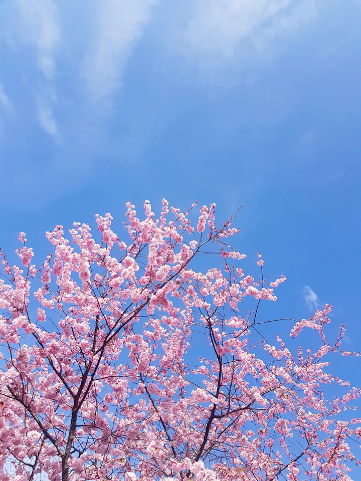 blue sky