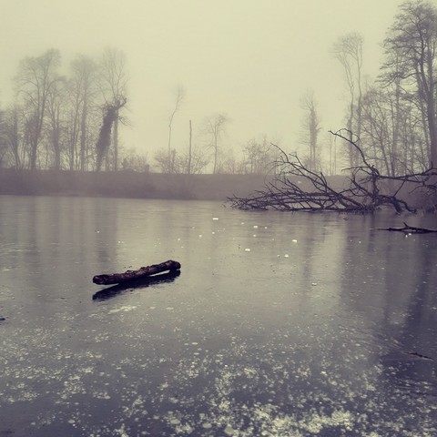 ice
