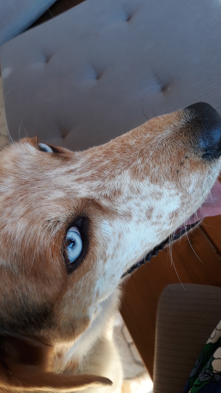 Eyes