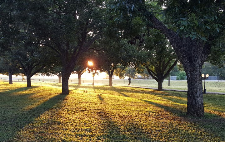 Morning walk