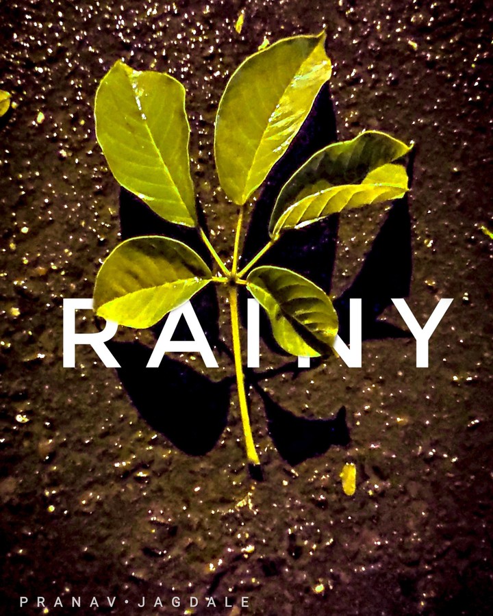 Rainy