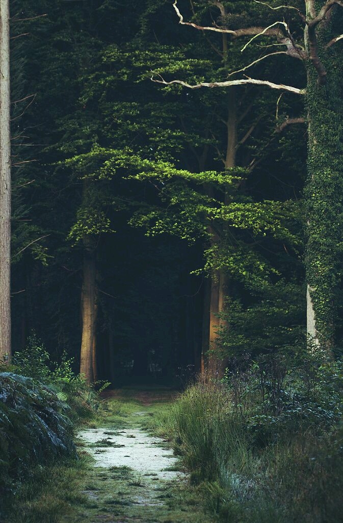 nature