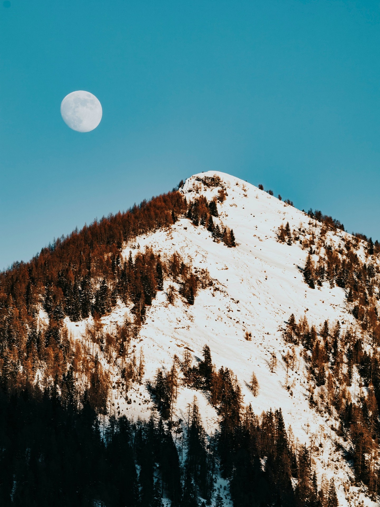 fondos de pantalla winter, mountain