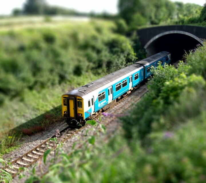 Miniature Train