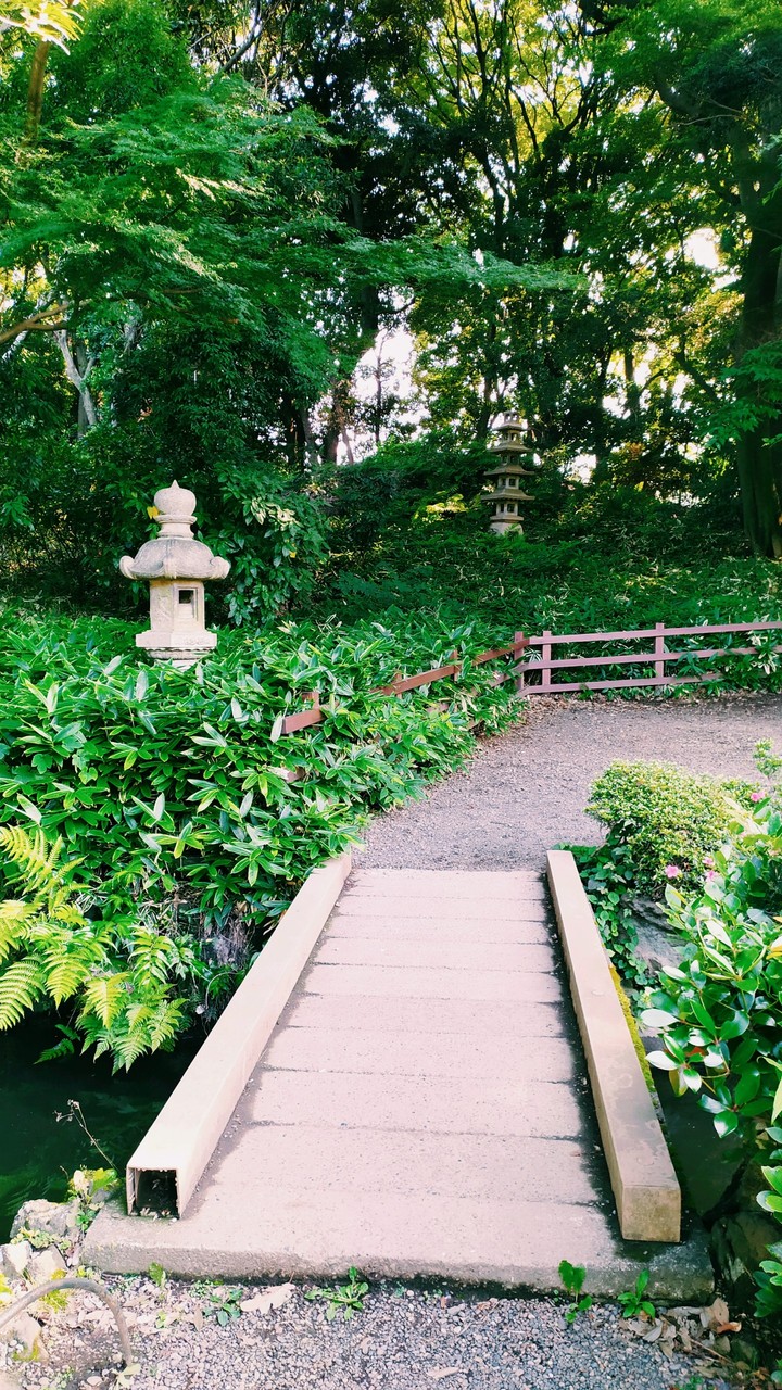 Japanese garden