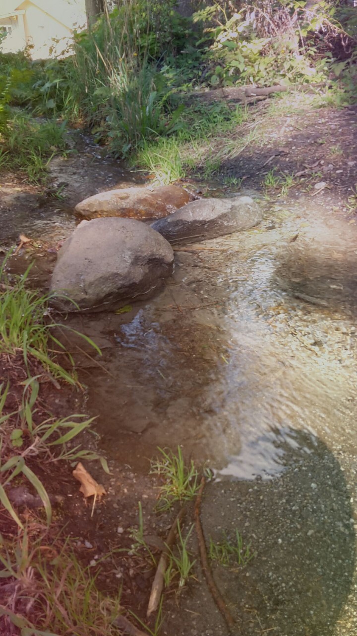 water
