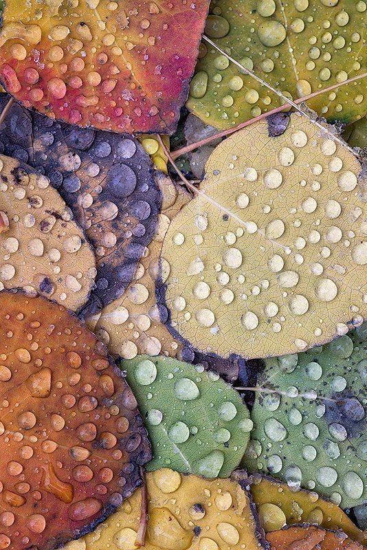 #autumn