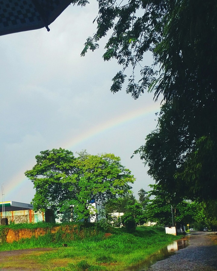 Rainbow