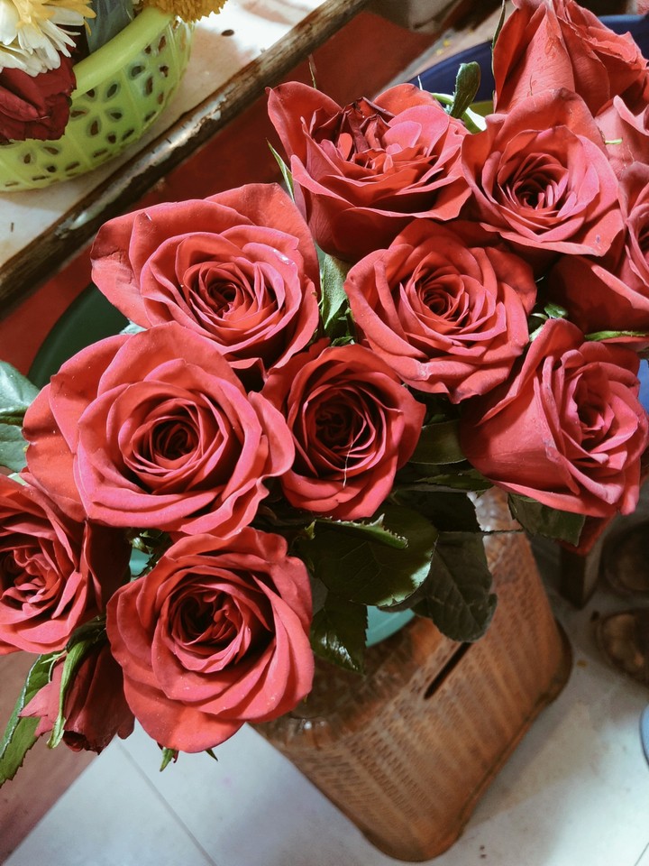 Roses
