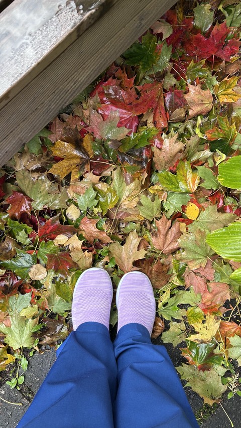 Leaf, Yellow, Shoe