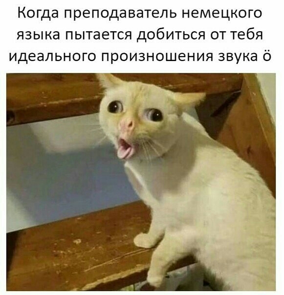Как я учу немецкий