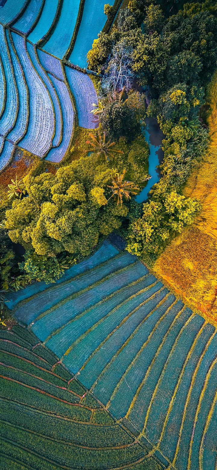 asus zenfone 6 wallpaper