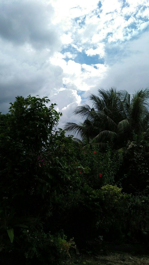 sky