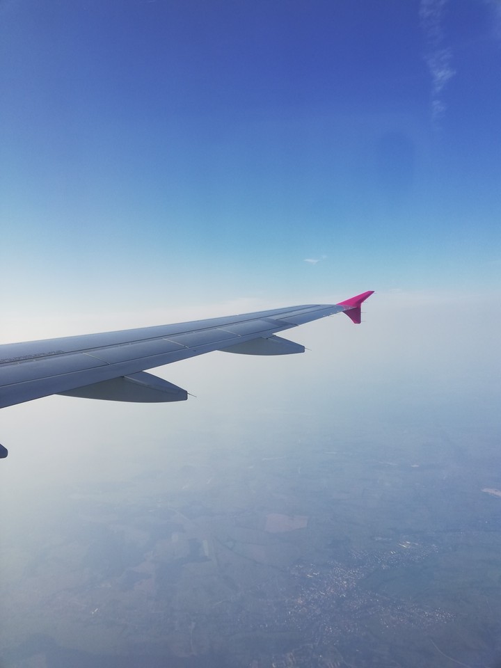 fly
