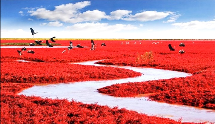red