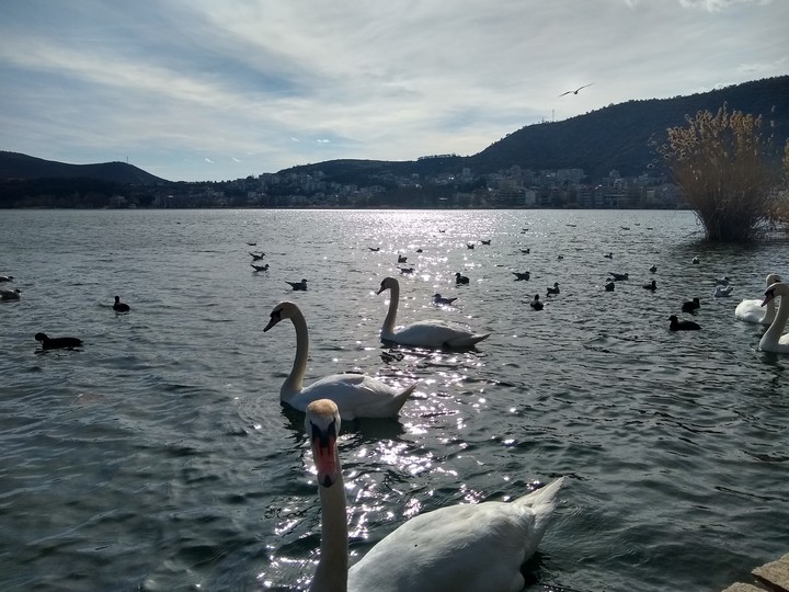 Nice surprise in lake