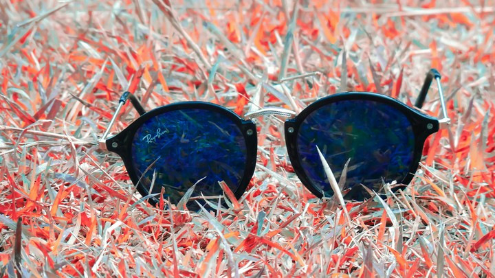 sunglasses