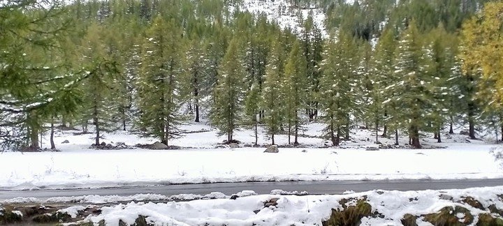 Winter is snow
