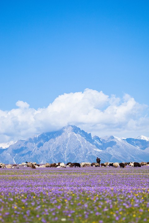 Nice Nature View