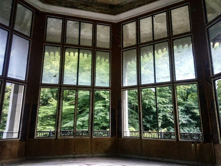 Windows to the world