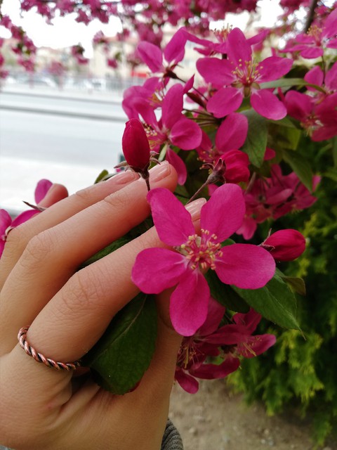#spring